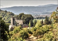 Castello di Partina