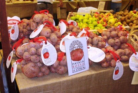 La patata Rossa di Cetica